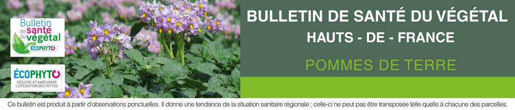 Bulletin N 01-7 mars 2017 SOMMAIRE : Edito : Première parution du BSV pommes de terre Hauts de France. Le bulletin de Santé du Végétal pommes de terre. Les atouts du plant certifié.