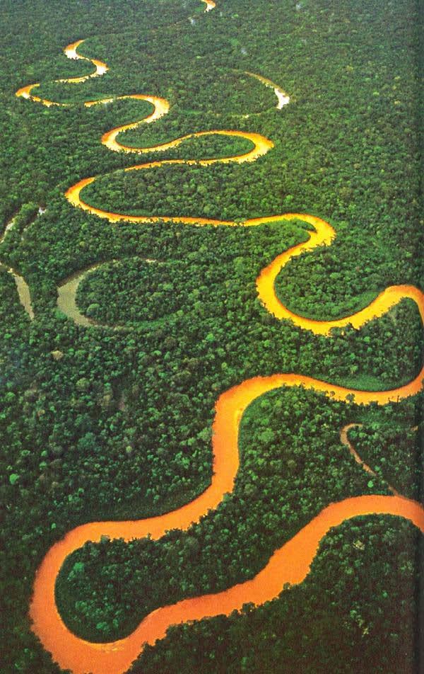 La Réserve Naturelle de Tambopata Située dans le sud-est du Pérou, à la frontière des Andes et du bassin amazonien, cette réserve occupe une région où la diversité et la richesse de la faune et de la