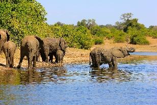 Réf : 10A Croisière : L Afrique australe déroule ses plus beaux paysages Afrique du Sud - Botswana - Namibie - Zimbabwe Nos Atouts 4 jours de safari nautique à bord du Zambezi Queen 5 ancres 2 nuits