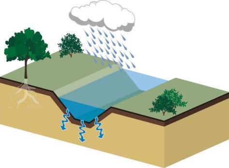 Récupérer l eau de ruissellement et l évacuer: les dispositifs Les fossés Un fossé : assez profond, avec des rives abruptes (souvent de pente de 45 ou plus).