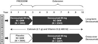 Denosumab (anti-rankl) Étude pivot FREEDOM de phase 3, contrôlée, randomisée contre placebo A l inclusion, T-Score < -2,5 ou ATCD FV 7 868 femmes ménopausées; 72 ans; 24% FV