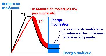 La température du milieu réactionnel augmente la vitesse de réaction. L influence de la température s explique avec la théorie des collisions.