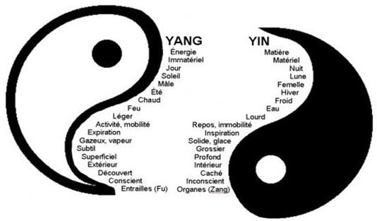 L un n a plus de sens sans l autre. Ils sont interdépendants. La tradition chinoise est avant toute une tradition taoïste, ce qui veut dire que ses fondements reposent sur le Yin et le Yang.