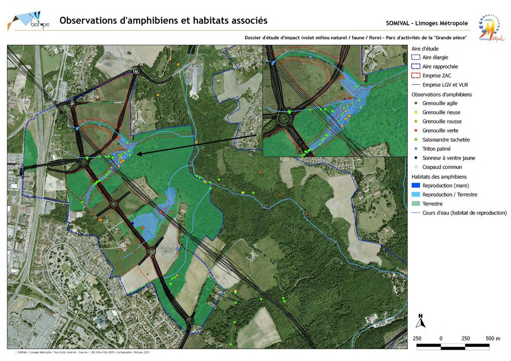 Carte 14: Observations d'amphibiens et habitats associés Source : Biotope Limoges Métropole