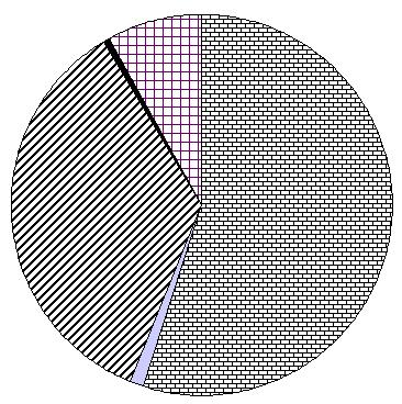 La composition moyenne du pain blanc Dans le diagramme circulaire ci-dessous, chaque secteur correspond à la masse d un des composants du pain blanc.