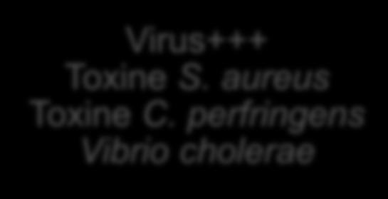 difficile Virus Virus+++ Toxine