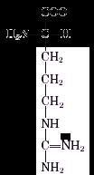 II-Structure des acides aminés