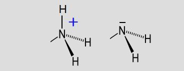 II-Structure des acides aminés 1 C* et 4 substituants 1 Fonction acide carboxylique/carboxylate 1 Fonction amonium