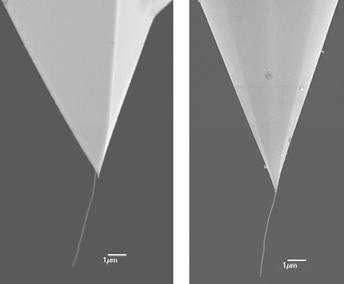 Les sondes AFM à nanotubes de carbone pour la caractérisation de surface : vers l innovation Matthieu MEILLAN1, Ngoc-Mai LUU1, Touati DOUAR1, Anne-Marie BONNOT2, Sophie MARSAUDON1 1: Institut de