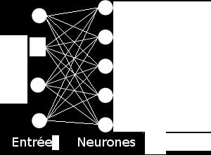 Réseau de neurone