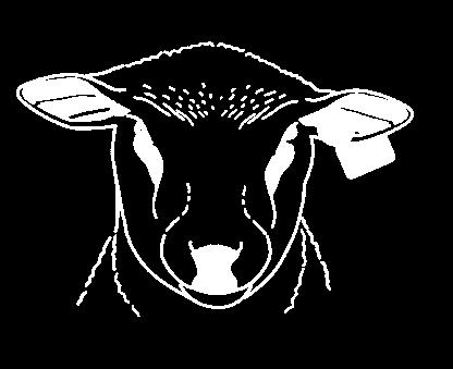Dérogation possible pour les ovins Les ovins destinés à l abattage en France (directement ou via un centre de rassemblement ou un marché ou