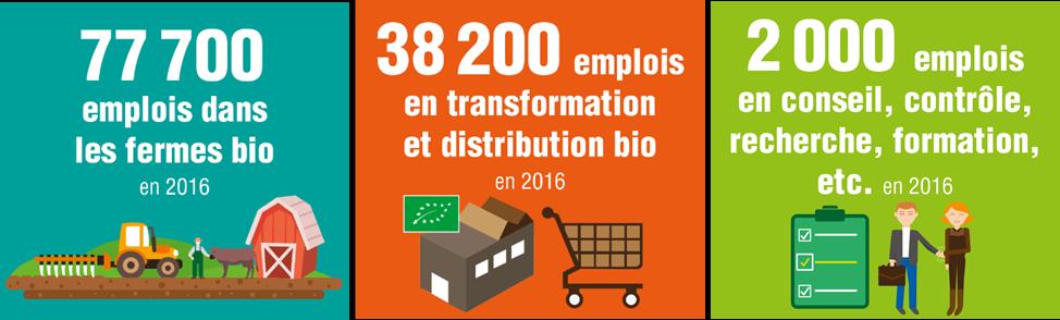 La Bio recrute en France 118 000 emplois directs dans la Bio Les emplois des filières bio concernent de très nombreux secteurs.
