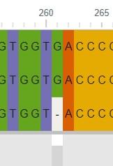 En effet, il manque pour la ligne 3 (=délétion) en position 261, un nucléotide à «G», facilement repérables par : La couleur & le tiret L