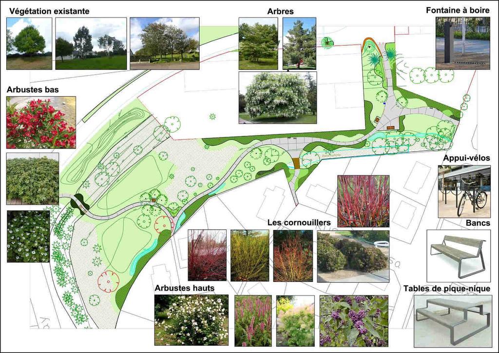 Plans détaillés par espace paysager Parc Ornemental Espace de rencontre et de liaison cycle/piéton à l Est Grandes surfaces engazonnées pour une