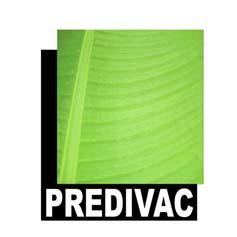 Le Projet PREDIVAC Projet de Renforcement et Diversification de l Agriculture Comorienne Financement AFD.