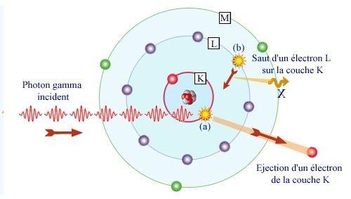 Ces interactions entraînent une diminution du nombre des photons et une modification du spectre énergétique du rayon X.
