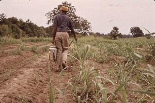 Grâce à qui, certains pays en développement peuvent-ils faire évoluer leur système d'agriculture en le modernisant?
