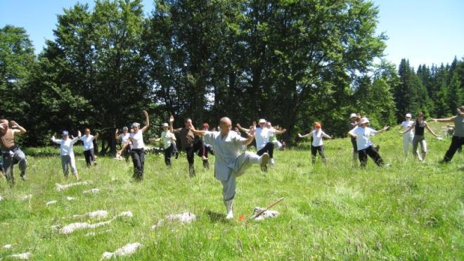 mouvements de base du Tai Ji Quan Etirements Etude technique de relaxation LUNDI 10 JUILLET
