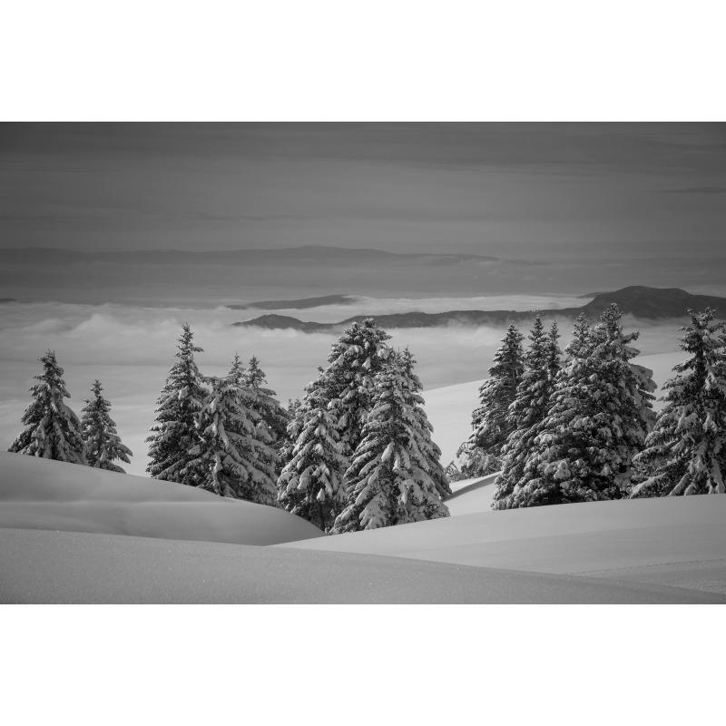 jpg Haute Savoie (74) massif des Bauges Annecy le Semnoz espace propice au