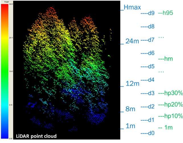 Métriques issues du nuage de points LiDAR A partir de nuage de points LiDAR (approche «placette») Distribution de points (nombre, densité ) Distribution des hauteurs (quantiles, moy., max.