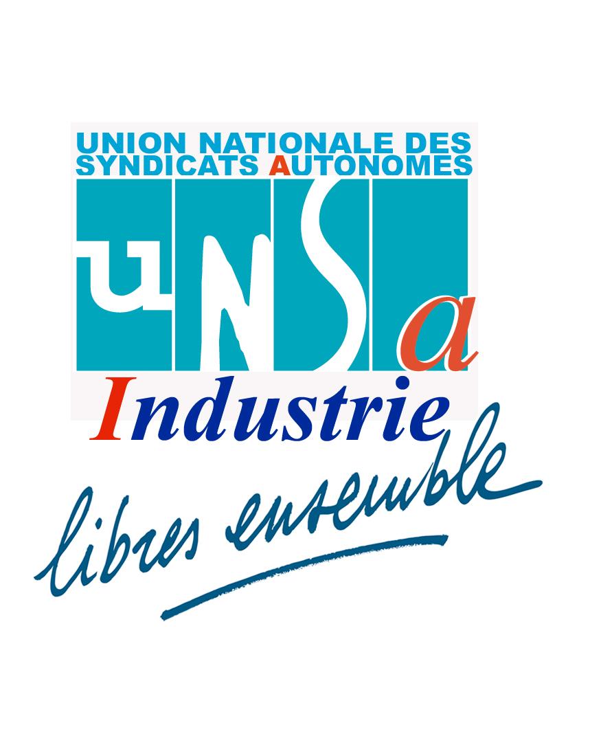 Fédération UNSA Industrie 2011 Etat des ressources / seuils Compte Libellé compte Montants enregistrés 756 Cotisation 11 263,41 653