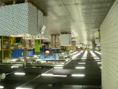 produits finis Les halls et entrepôts de stockage Situation existante: 2400 tubes «standards»