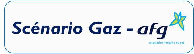 Le scénario de demande de gaz de l AFG L AFG construit sa vision prospective concernant le gaz et les industries gazières en s appuyant sur des trajectoires de demande de gaz (gaz de réseaux, GPL,
