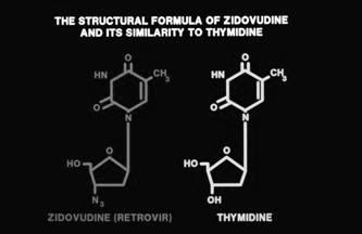 Chaque nucléotide est constitué d une molécule de sucre (ribose ou désoxyribose), d un groupe phosphate et d une base. L ADN contient quatre bases: l adénine, la guanine, la cytosine et la thymidine.