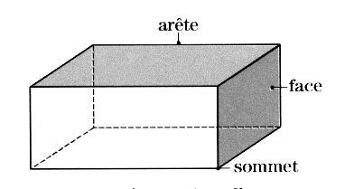 Parallélépipède rectangle 1. Reconnaître et nommer les faces, les arêtes, les sommets Un parallélépipède rectangle (ou pavé droit) est un solide qui possède 6 faces.