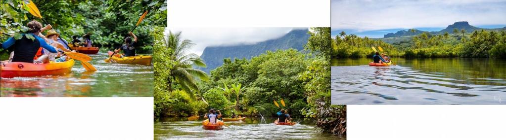 REMONTEE DE LA RIVIERE FAAROA EN KAYAK (3h) - Raiatea Activités Remontez la rivière de Faaroa à travers la forêt tropicale : découvrez la faune, la flore et l histoire de l île accompagné par votre