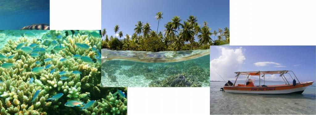 ! Découvrez un site exceptionnel : un jardin de corail entre 2 îlots avec une magnifique vue sur l'île de