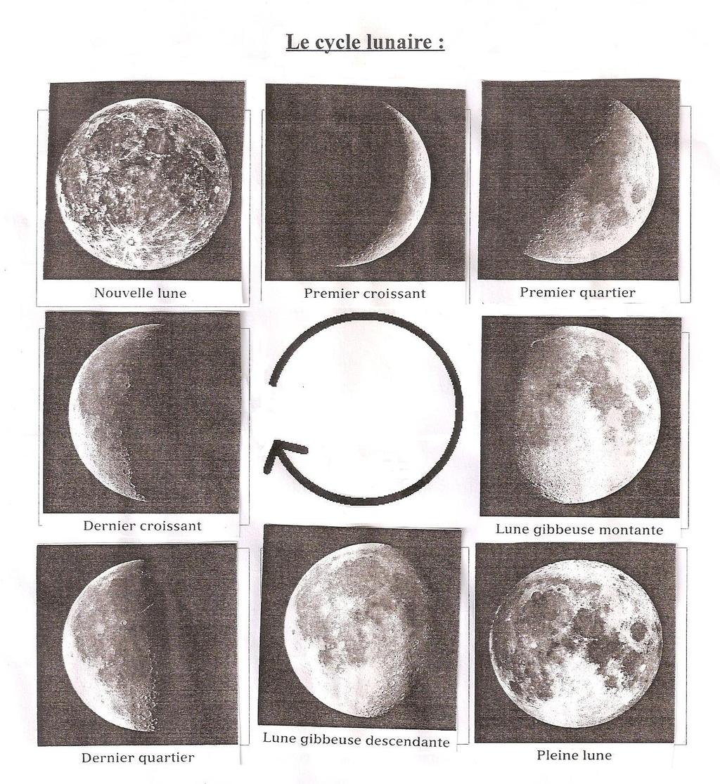 S5 La Lune a-t-elle toujours la même forme? Grâce à un calendrier, on peut observer que la Lune change de forme de façon cyclique.