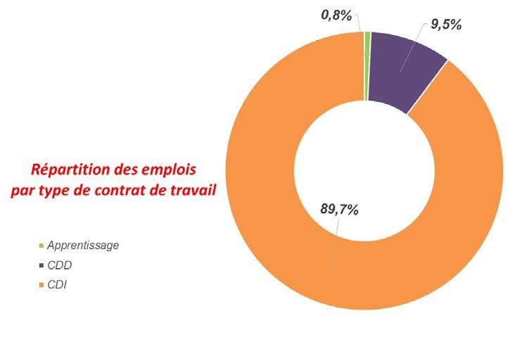 12 Des emplois pérennes Répartition des emplois salariés T&L total France par type de contrat Source : Traitement JONCTION Données DADS 2014 CDI majoritaire L apprentissage, qui représente 0,8 % des