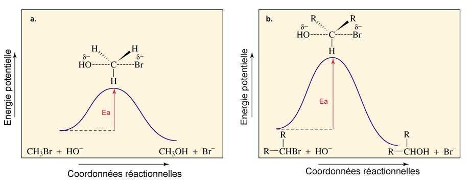 Fonctions chimiques LES DÉRIVÉS ALOGÉNÉS ahier 5 Voici à titre d'exemple les profils énergétiques des réactions d'un halogénure nullaire et secondaire avec O.