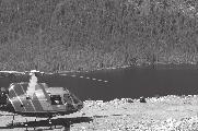 Forêt pluviale du Grand Ours. Greenpeace utilise un hélicoptère pour juger de l état réel de la forêt pluviale du Grand Ours.