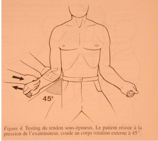 Pour étudier le muscle rotateur interne et le muscle sub scapulaire, deux tests peuvent être réaliser : Test Gerber : Le patient effectue une rotation interne, main dans le dos il doit