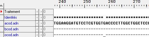 versions d un même gène (allèles A, B
