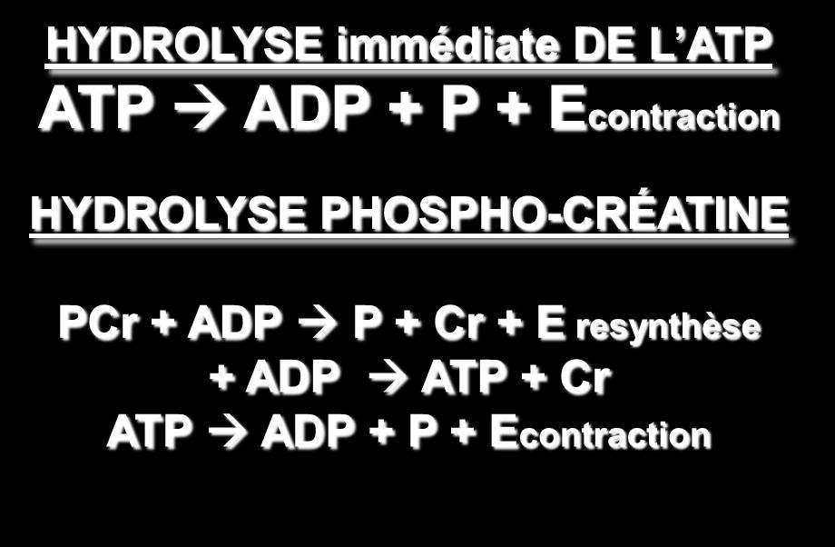 Anaérobie Alactique 1ère filière à se déclencher Temps d intervention : 1ère filière à se déclencher Exo de 0s à 15s HYDROLYSE immédiate DE L ATP ATP ADP + P + Econtraction Intensité : Très élevée (=