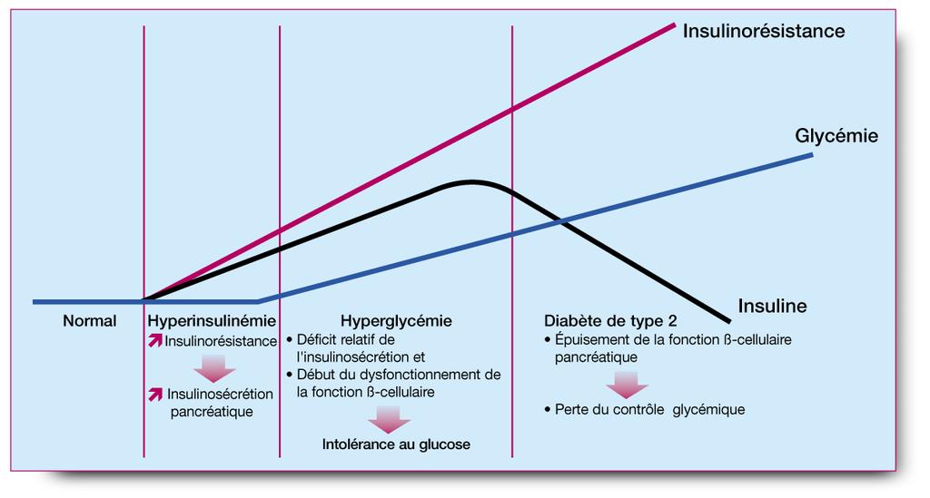 Diabète de type 2 : l association d une insulinorésistance et d une dégradation de la fonction ß-cellulaire pancréatique (1,2,3) Schéma d après (1,2) 1) Turner NC, Clapham JC.