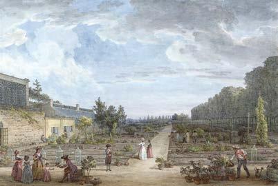 Après avoir étudié au lycée entre 1808 et 1816, il y assiste sa mère devenue veuve et son aide Macé, joliment surnommé Printemps. Portrait d André Leroy, Soc. d hort. d Angers et de M&L.
