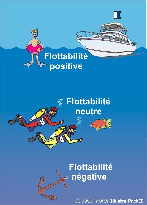 La flottabilité Les objets flottent, coulent ou restent en équilibre.