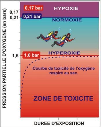 Les Accidents Toxiques- L Hyperoxie L Oxygène est indispensable, mais trop d oxygène est tout aussi dangereux que moins (asphyxie).