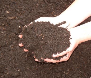 Le compost structure le sol, l enrichit en minéraux et améliore sa qualité.