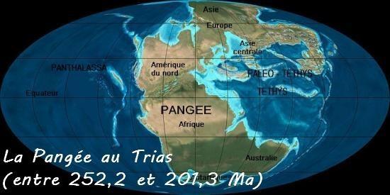 Ressource C : La période du Trias (-250 à -200 millions d années)