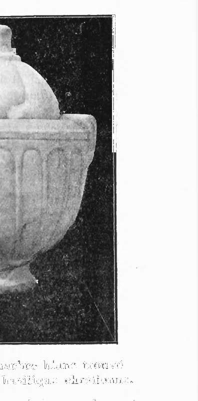 APPENDICE J'ai mentionné plus haut, dans l'inventaire du mobilier du second et si intéressant tombeau Fig. 36. Urne funéraire (cimetière romain.