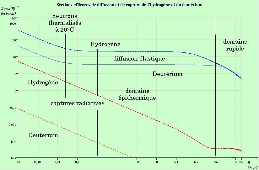 Sections efficaces de l'hydrogène et du deutérium