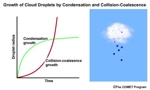 Résumé : Modèle conceptuel des processus de formation de la précipitation à l intérieur d un cumulonimbus