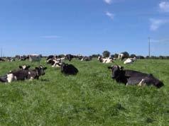 Prairie plus productive + fertilisée Apports d aliments au champ Zones