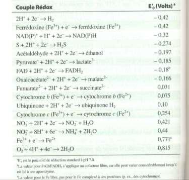 Doc 5 : Sélection de couples rédox biologiquement importants. Doc 6 : Mouvements des électrons et potentiels standards.