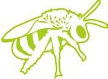 Objectifs 1/ Objectif général URBANBEES vise à mettre au point et valider un guide de gestion pour conserver et favoriser la biodiversité des abeilles sauvages dans les milieux anthropisés.